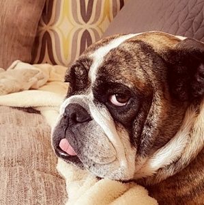 Meet your Posher, Mari